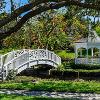 Customized Wood Bridge, Coral Gables, FL